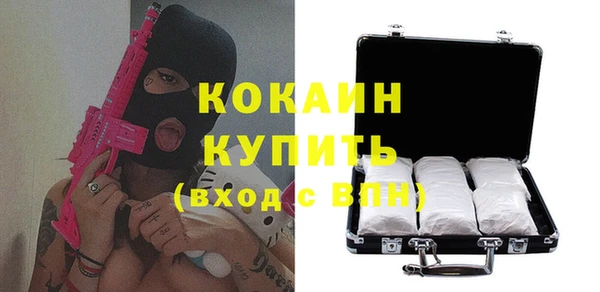 хмурый Алексин