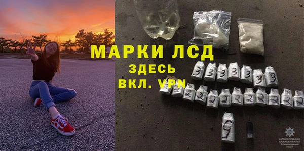 хмурый Алексин