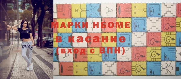 хмурый Алексин
