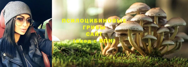 соль ск Алзамай