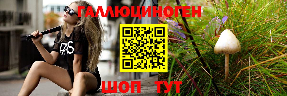 Туймазы  Псилоцибиновые грибы прущие грибы  Вход с VPN 
